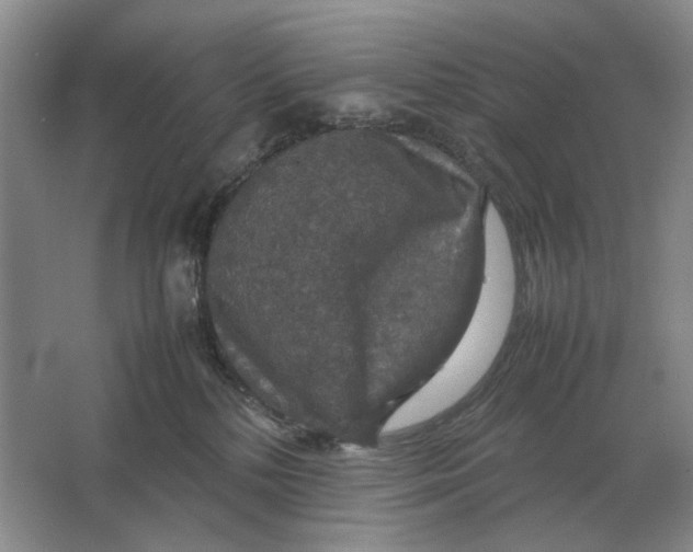 X0000064770232200603031833