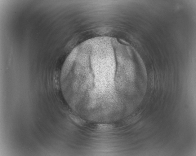 X0000064770234200603031833