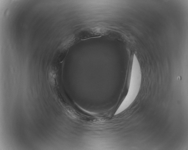 X0000064770235200603031833