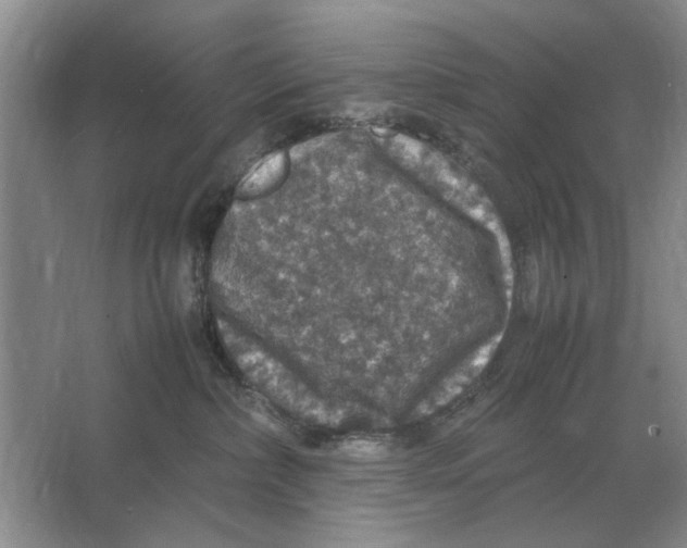 X0000064770236200603031833