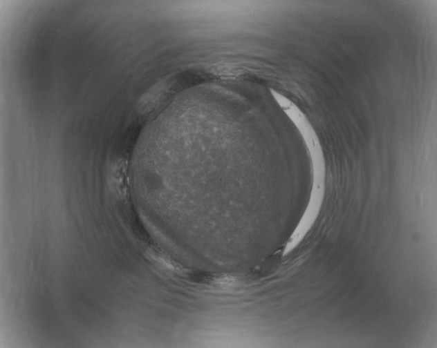 X0000064770237200603031833