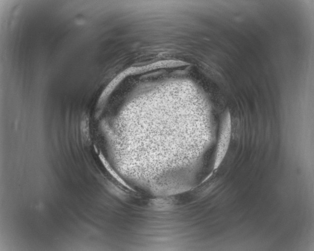 X0000064770238200603031833