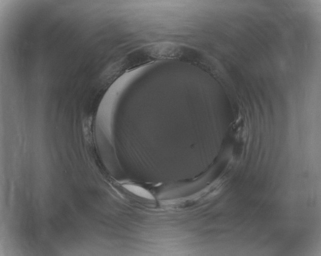 X0000064770239200603031833