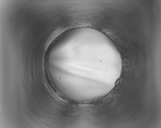 X0000064770242200603031832