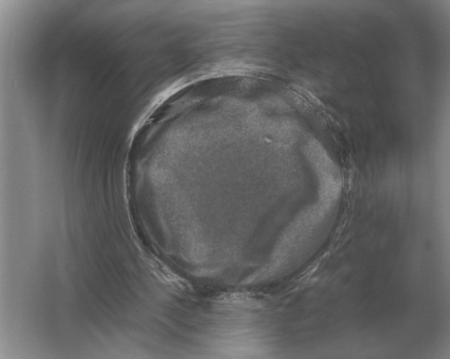 X0000064770244200603031833