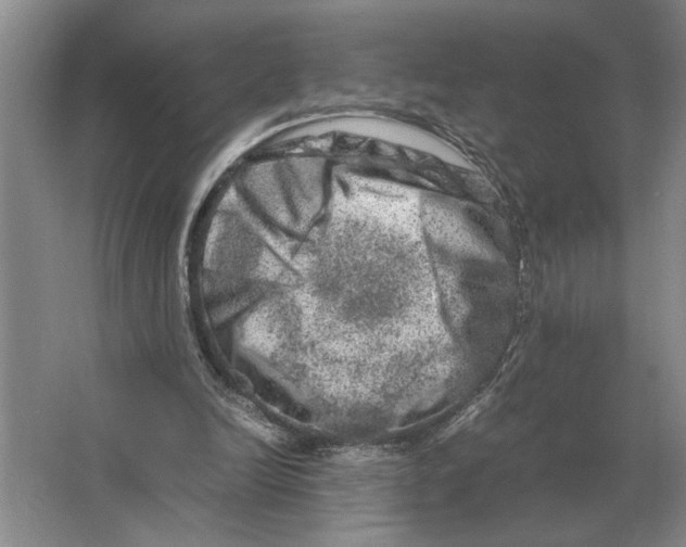 X0000064770246200603031833