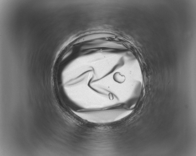 X0000064770248200603031833