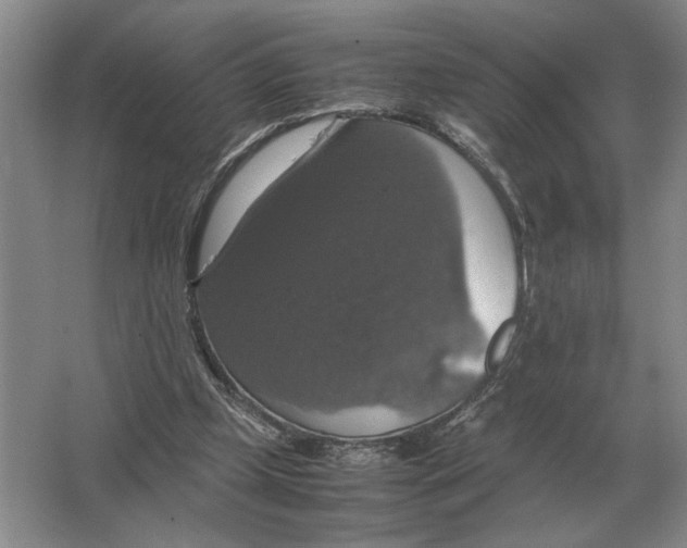 X0000064770249200603031833