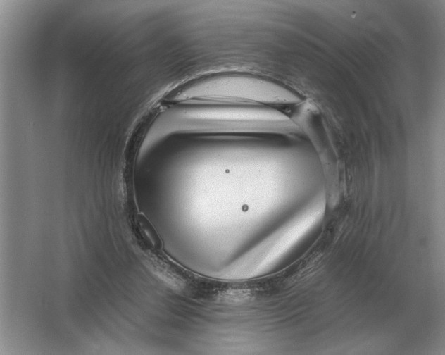 X0000064770252200603031833