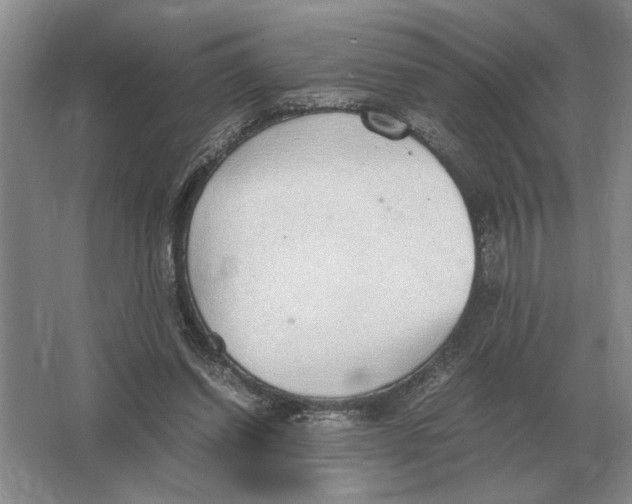 X0000064770254200603031833