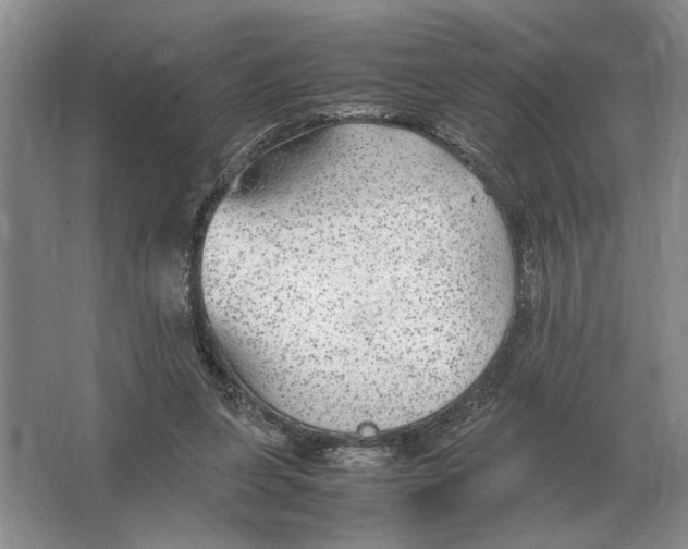 X0000064770255200603031833