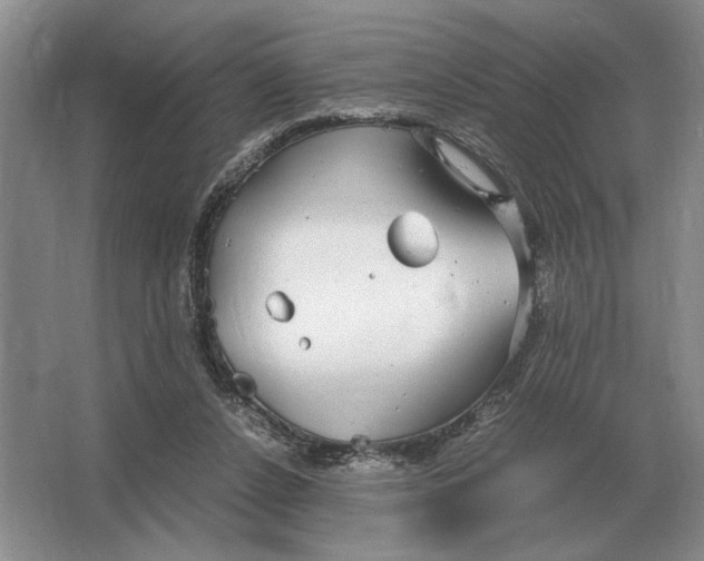 X0000064770256200603031833