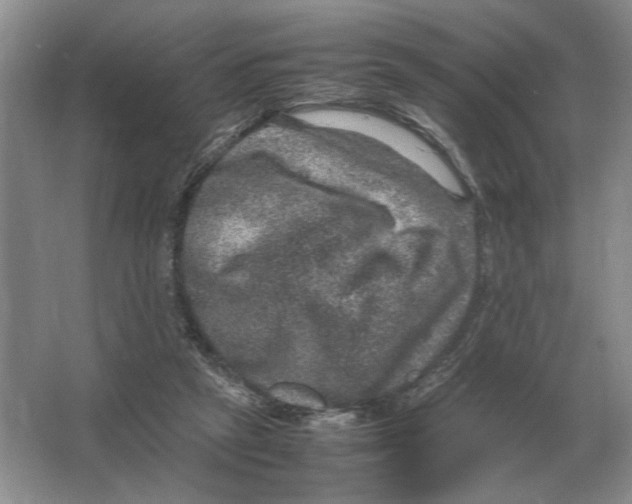 X0000064770257200603031833