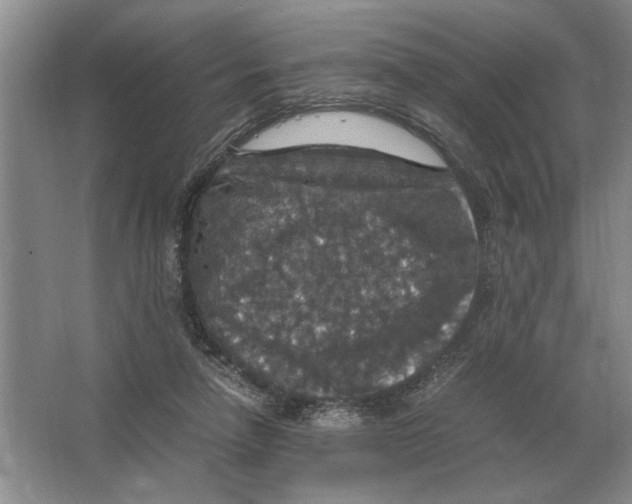 X0000064770258200603031833