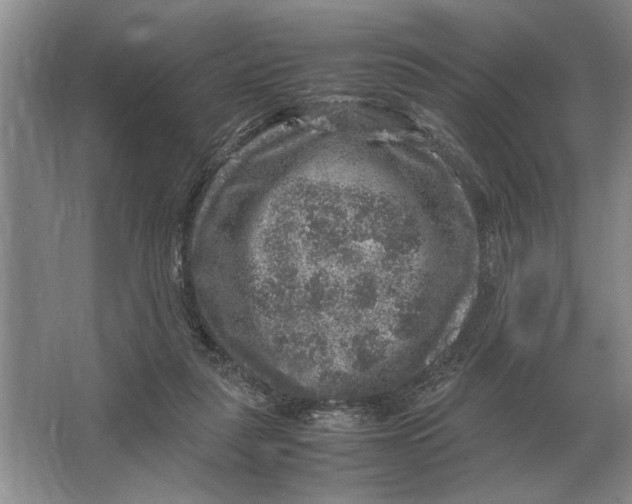 X0000064770259200603031833