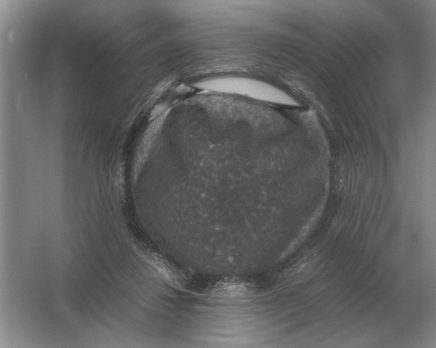 X0000064770260200603031833