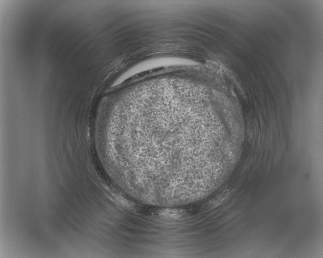 X0000064770261200603031833