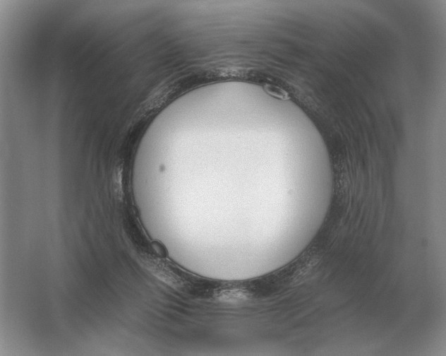 X0000064770262200603031833