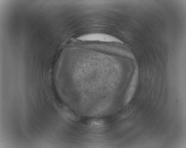 X0000064770263200603031833