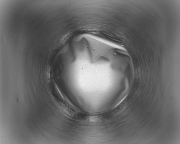 X0000064770264200603031833