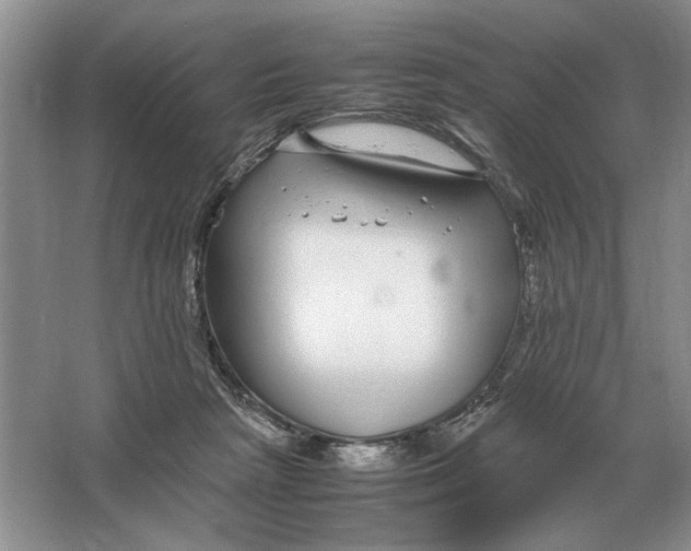 X0000064770265200603031833