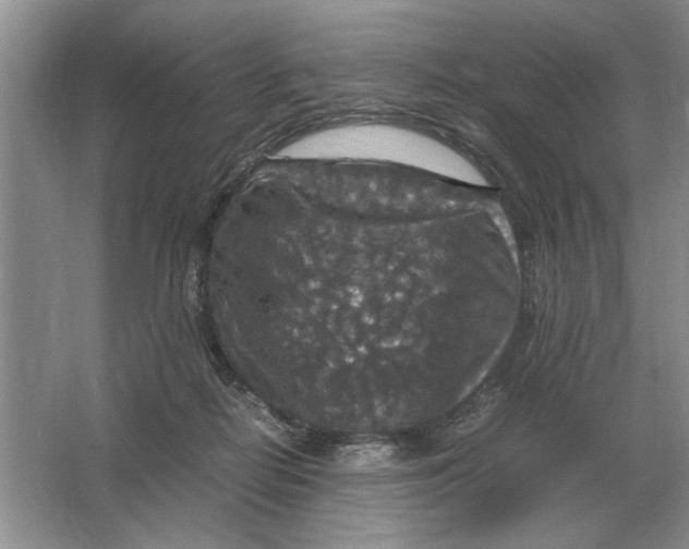 X0000064770266200603031833