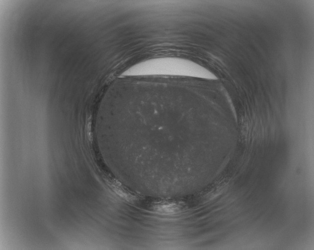 X0000064770267200603031833