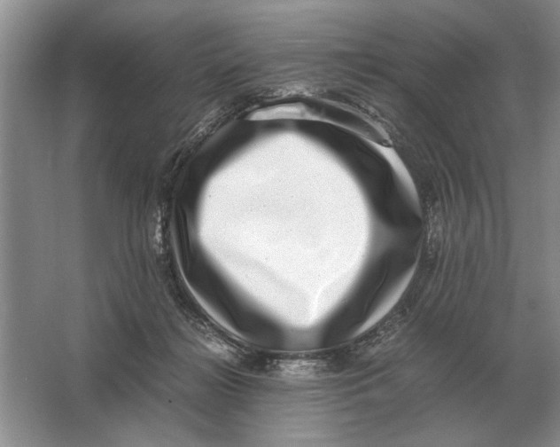 X0000064770268200603031833