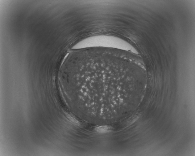 X0000064770269200603031833