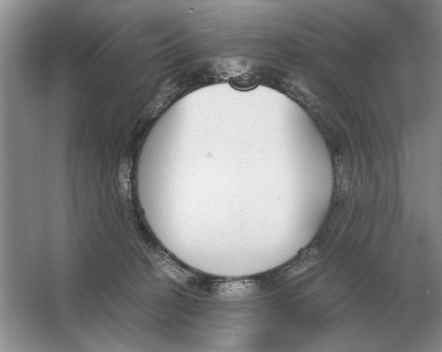 X0000064770274200603031833