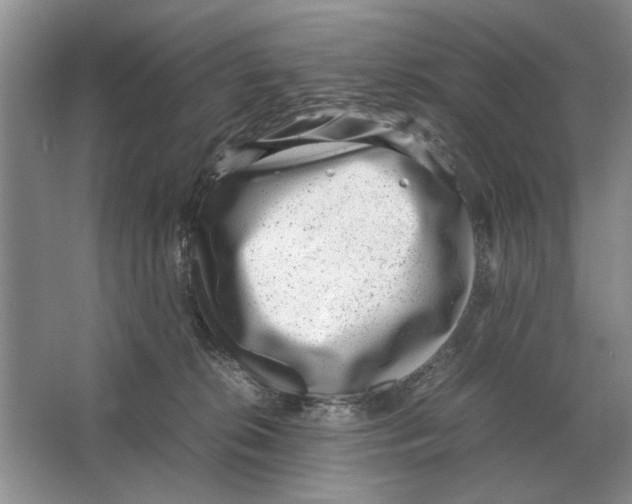 X0000064770276200603031833