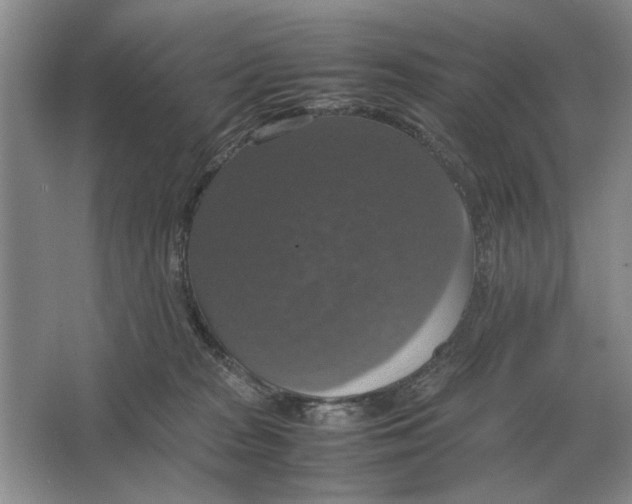 X0000064770277200603031833