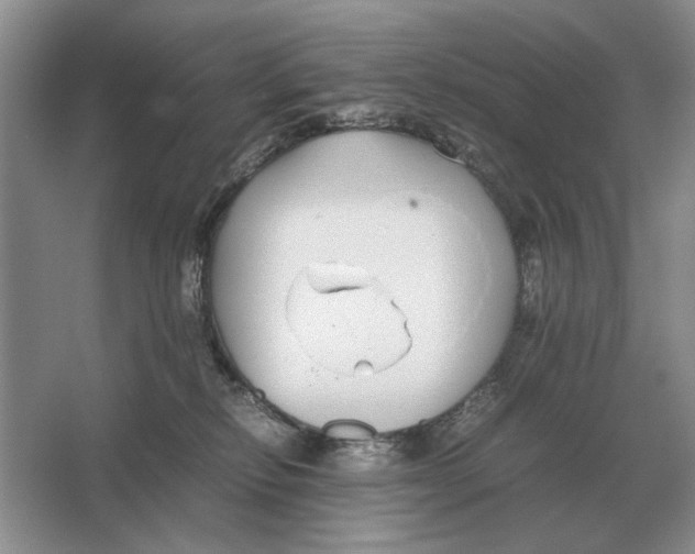 X0000064770278200603031833