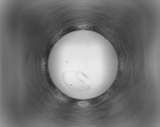 X0000064770279200603031833