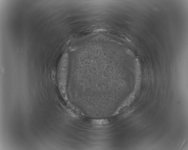 X0000064770281200603031833