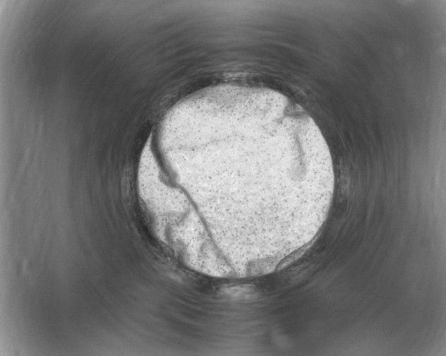 X0000064770283200603031833