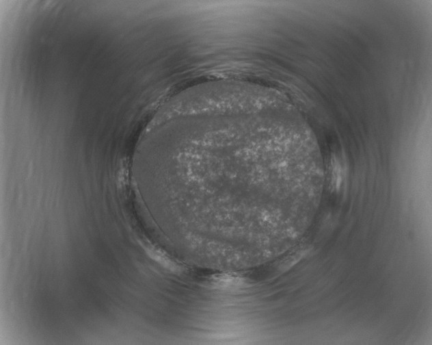 X0000064770284200603031833