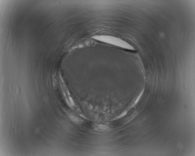 X0000064770285200603031833