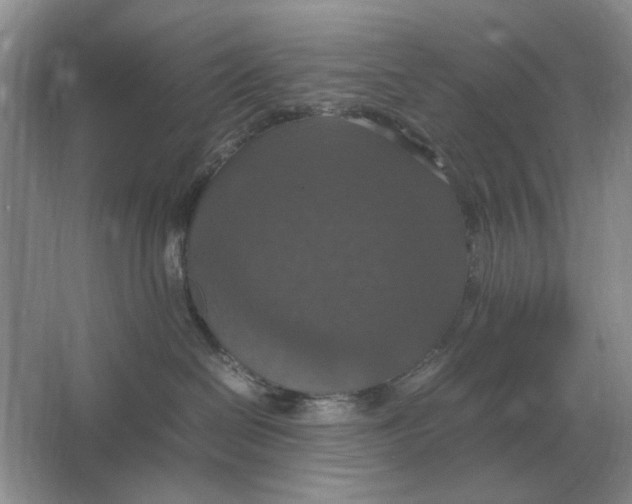 X0000064770286200603031833