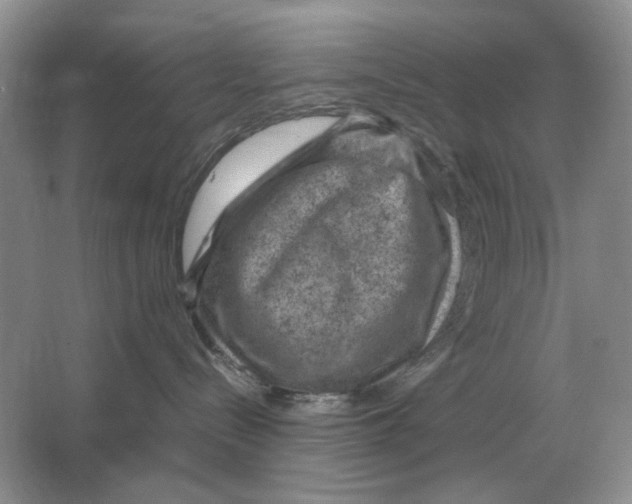 X0000064770288200603031833