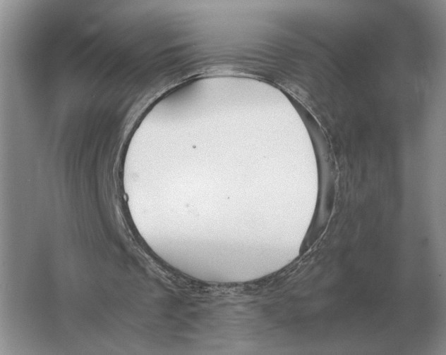 X0000064770289200603031832