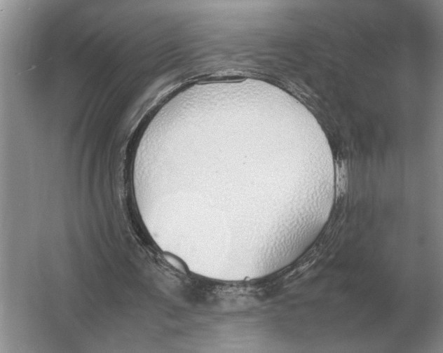 X0000064770291200603031832