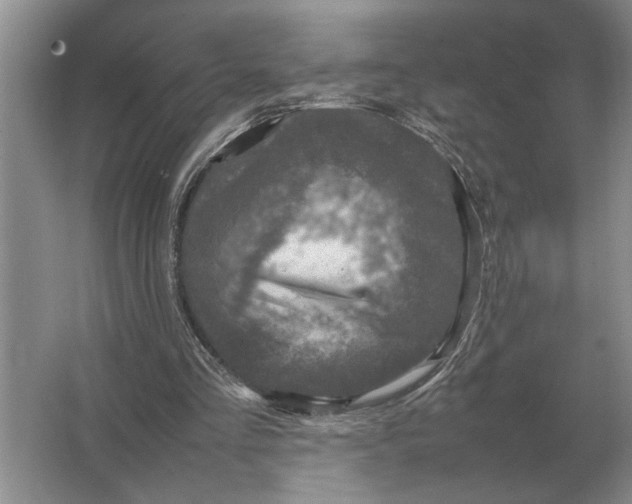 X0000064770293200603031832