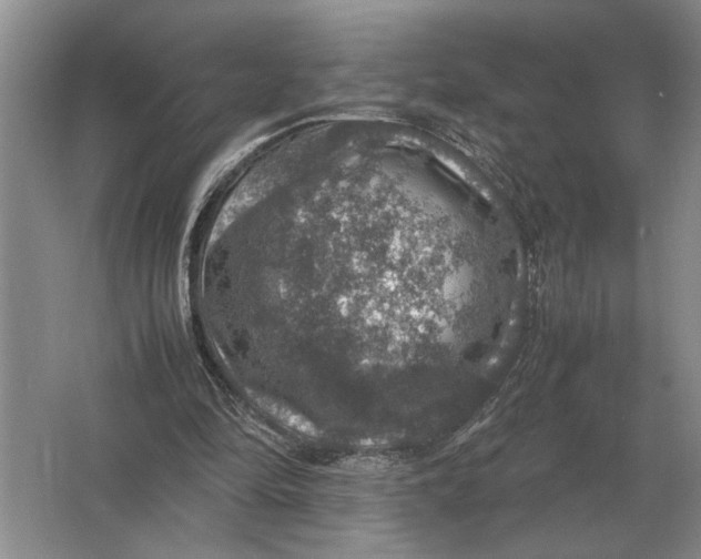 X0000064770294200603031832