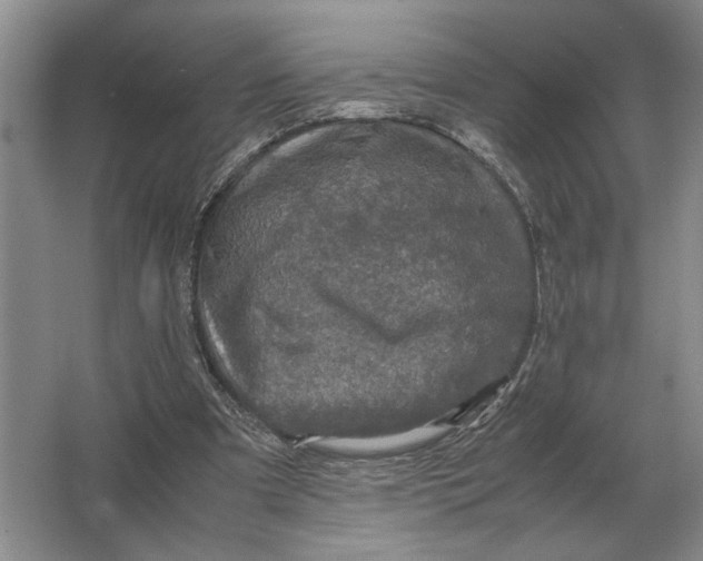 X0000064770297200603031832