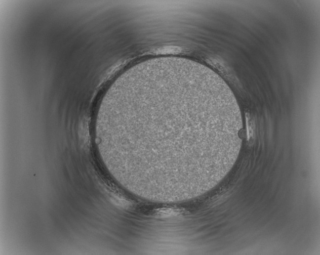 X0000064770300200603031832