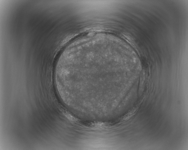 X0000064770301200603031832