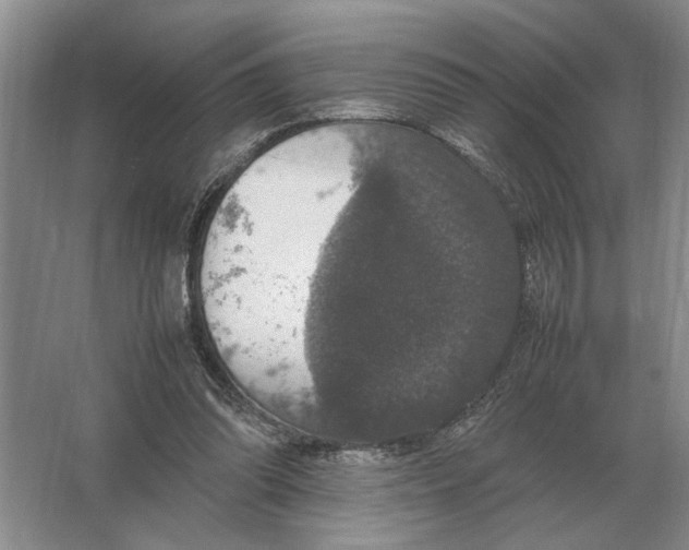 X0000064770302200603031832