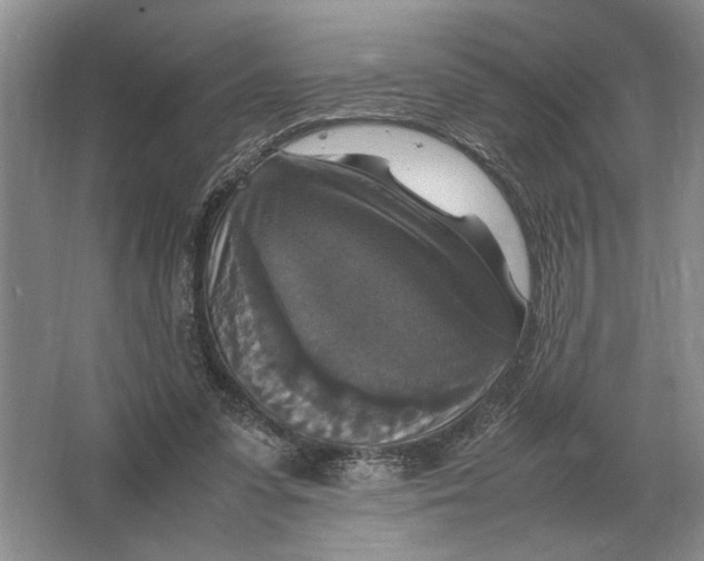 X0000064770303200603031832