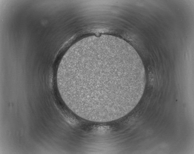 X0000064770304200603031832